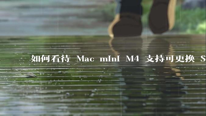 如何看待 Mac mini M4 支持可更换 SSD？