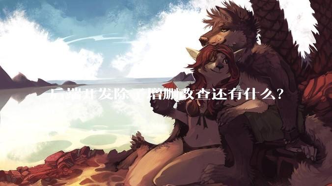 后端开发除了增删改查还有什么？
