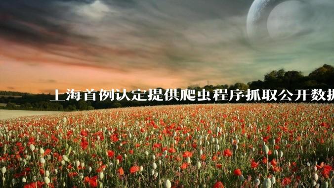 上海首例认定提供爬虫程序抓取公开数据构成提供侵入计算机信息系统程序罪案，该案件有哪些细节值得关注？